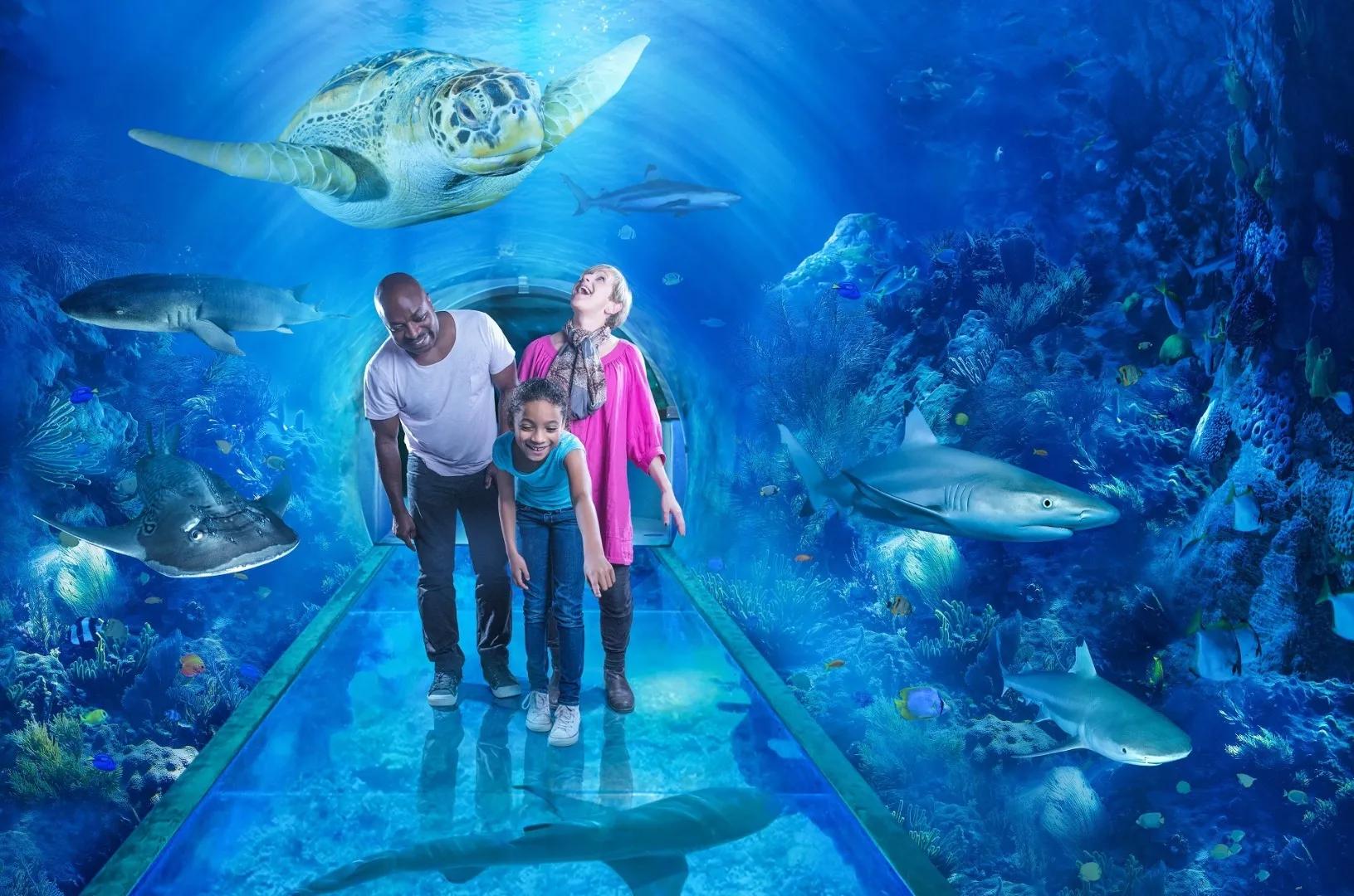 Recommendation for spot National SEA LIFE Centre Birmingham