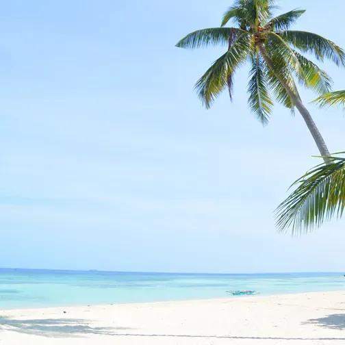 Image of the location Lambug Beach