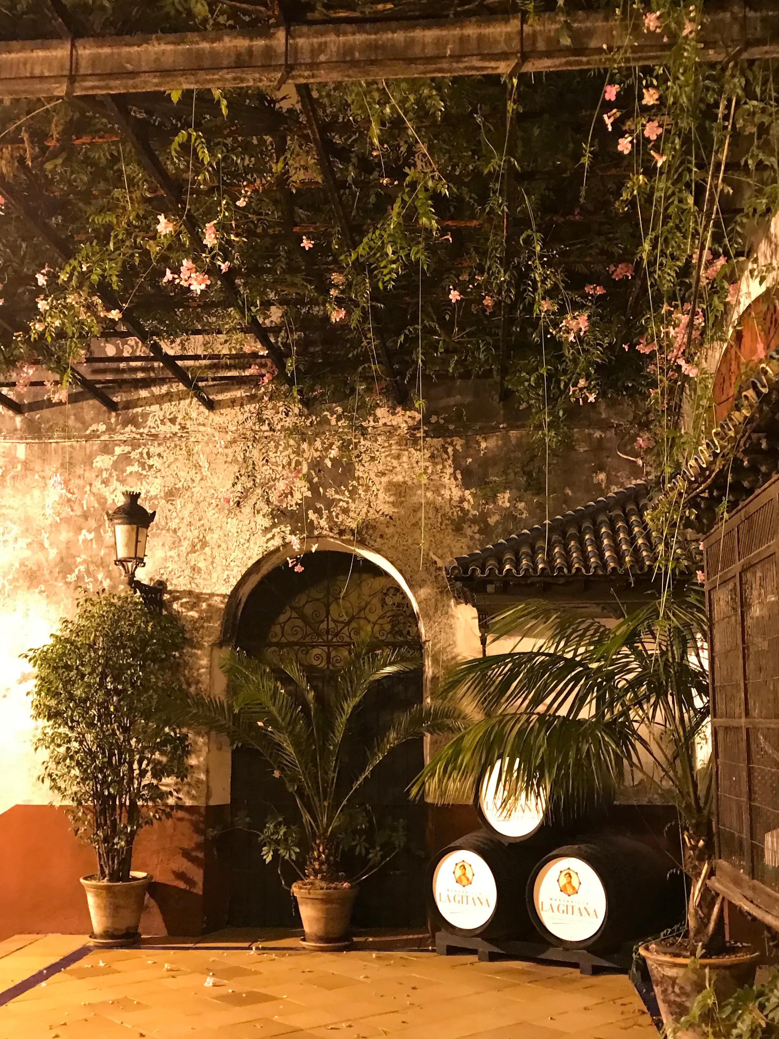 image of Café bar la Gitana