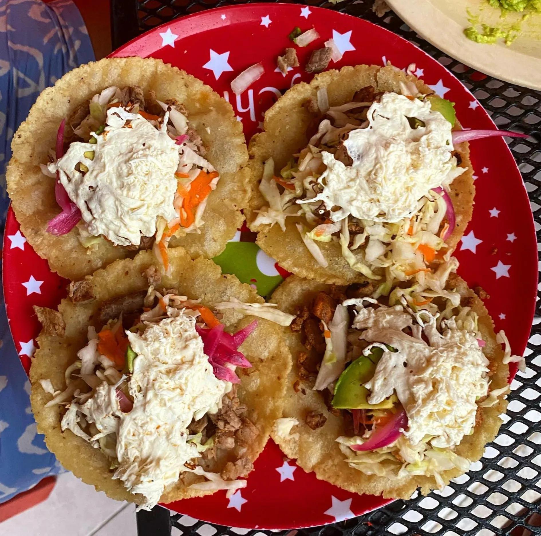 image of Hungry Llama