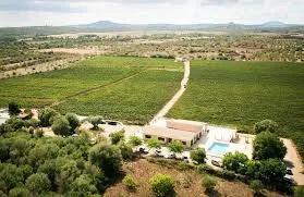 image of VINS GALMÉS I RIBOT