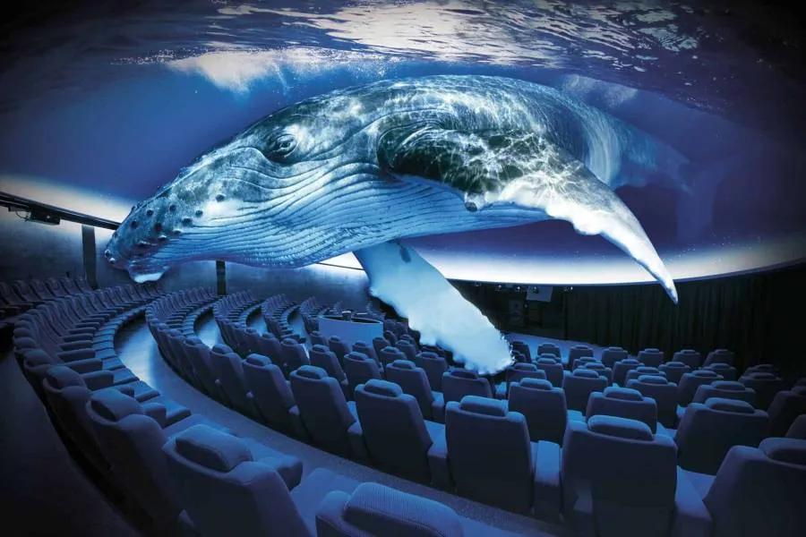 image of Palma Aquarium