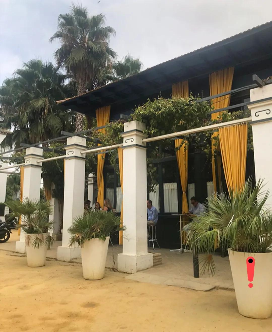 image of Bar Avelino