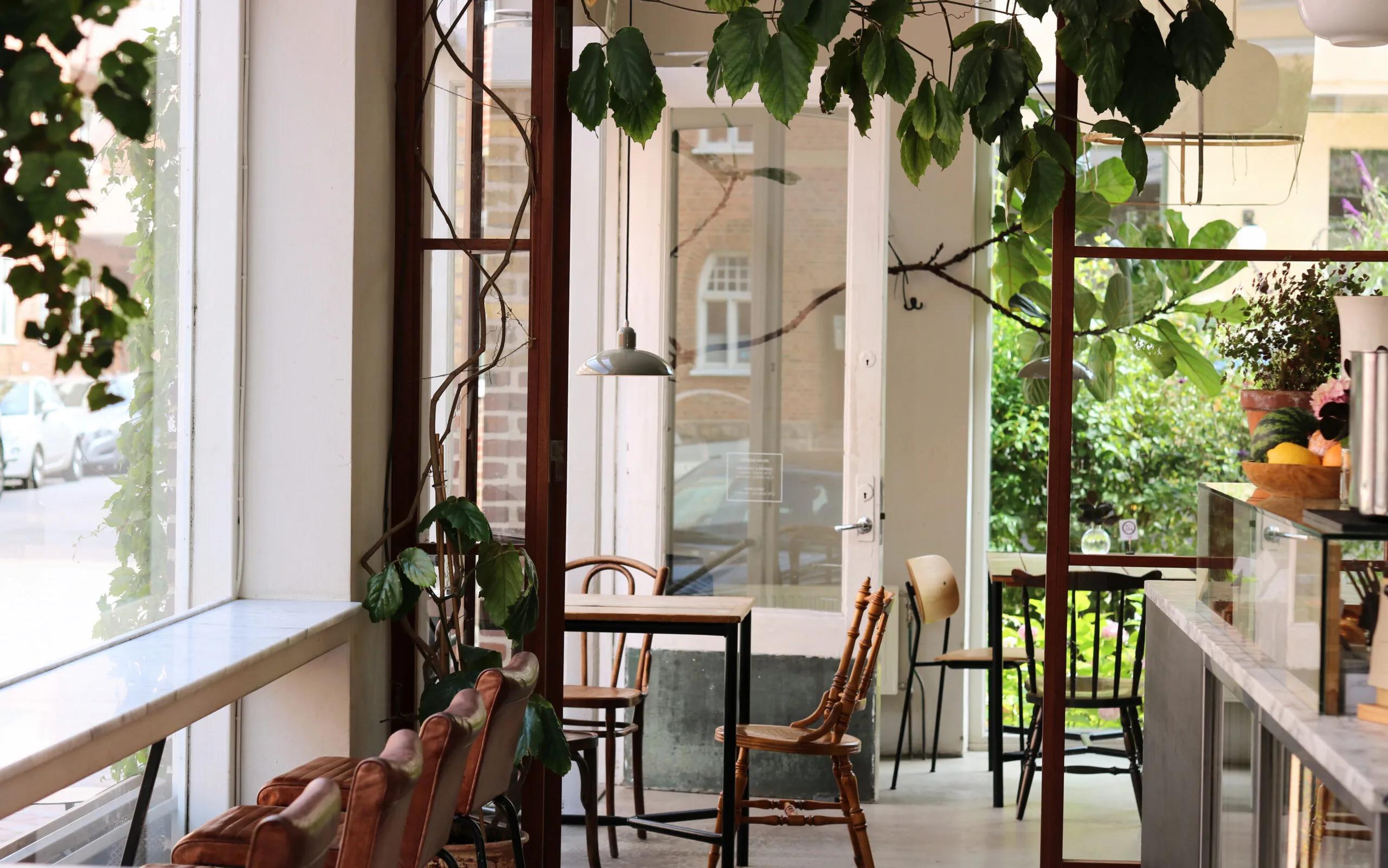 image of Atrium