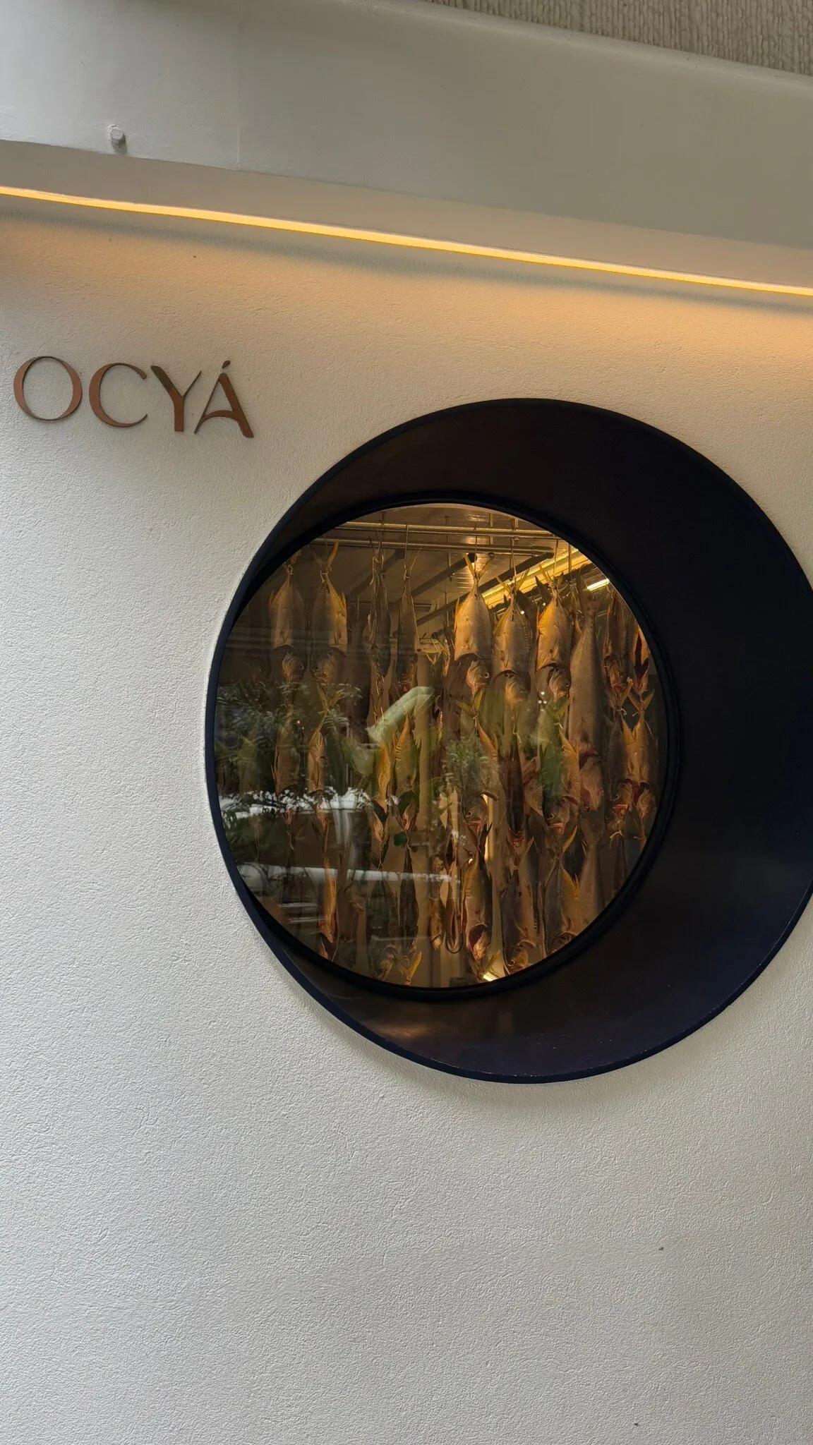 image of Ocyá