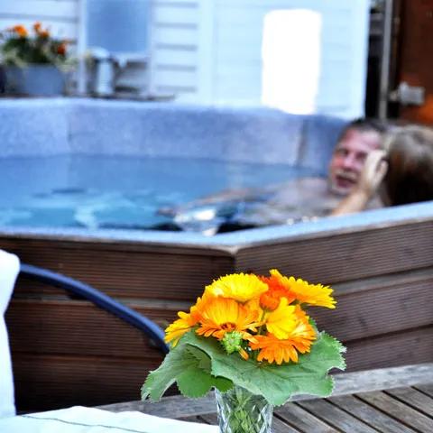 Recommendation for spot Skogsro Spa