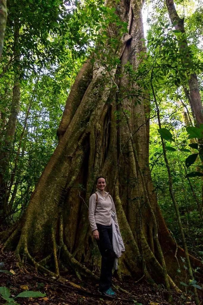 image of 100% Aventura Puentes Colgantes Monteverde