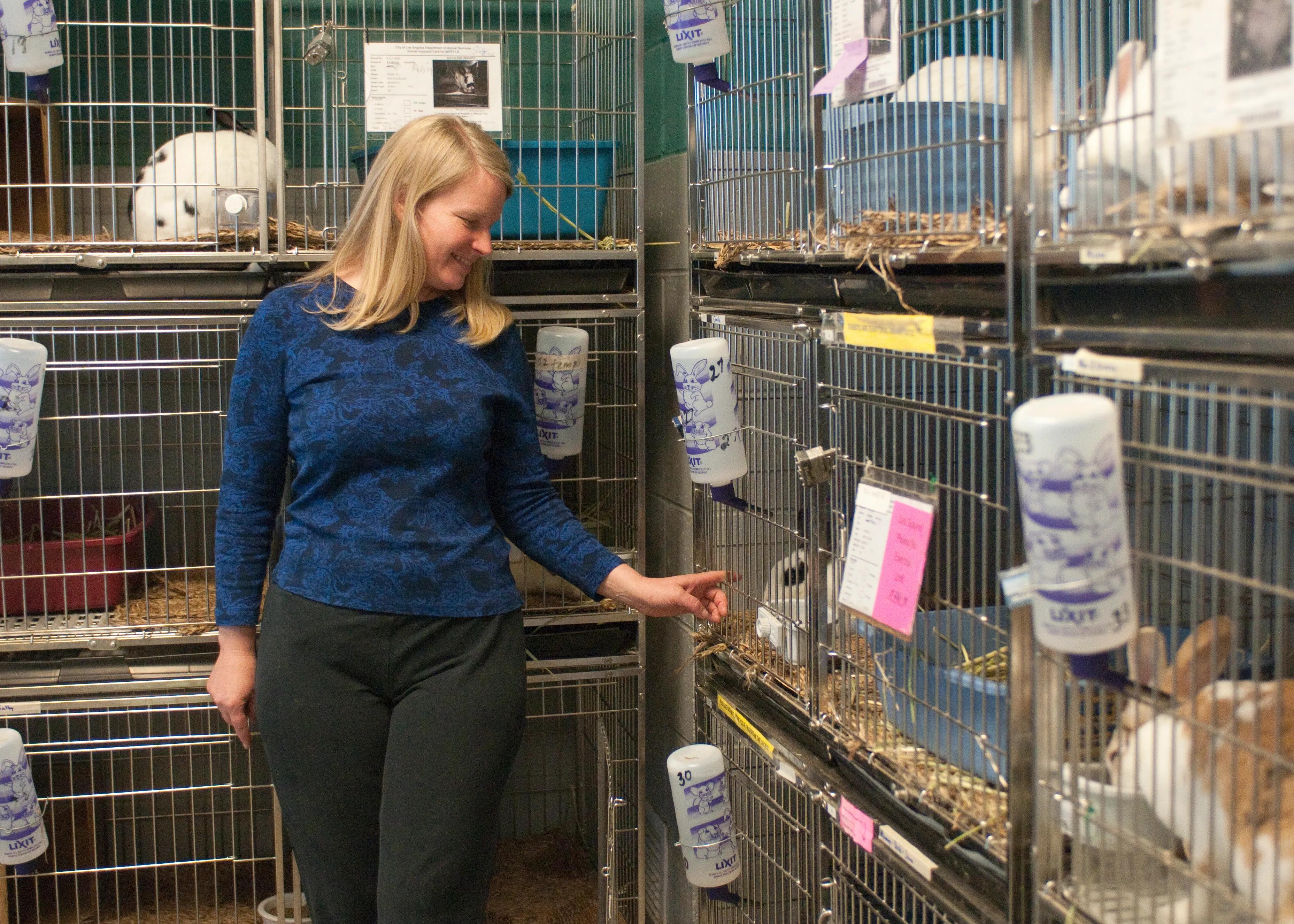 image of West Los Angeles Animal Shelter