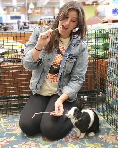 image of West Los Angeles Animal Shelter