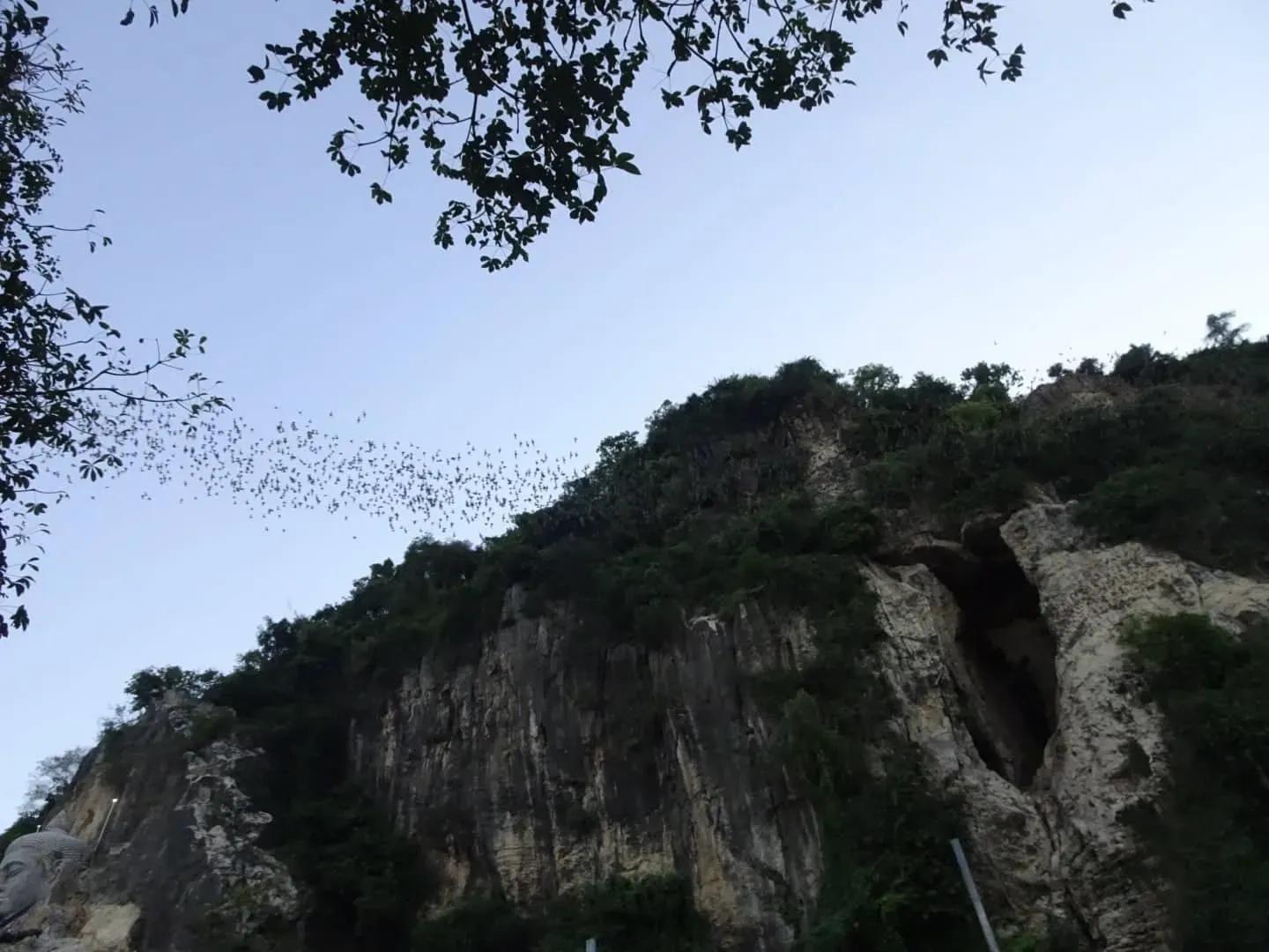image of Bat Cave Phnom Sampov