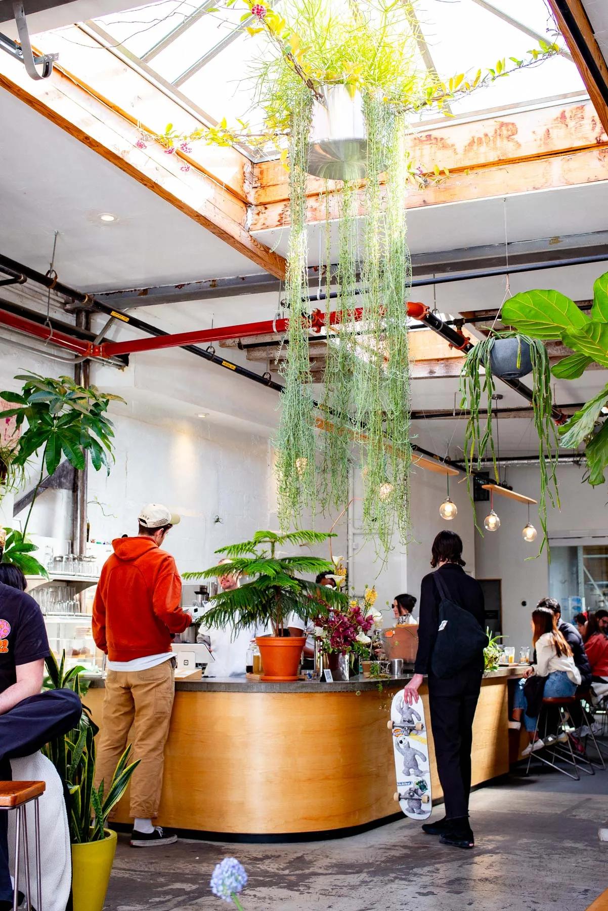 image of Brooklyn Barista