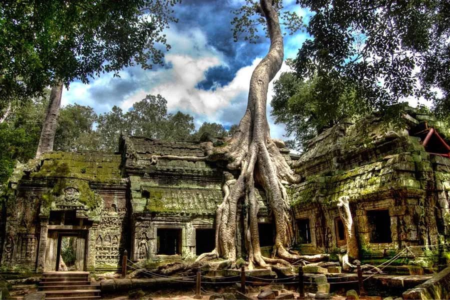 Image of the location Ta Prohm Temple