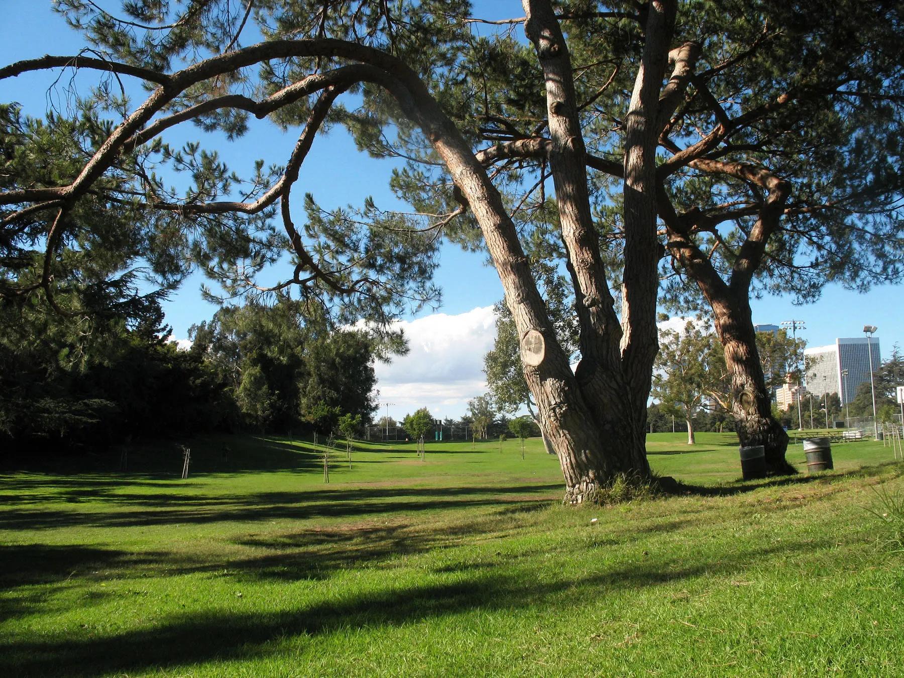 image of Cheviot Hills Recreation Center