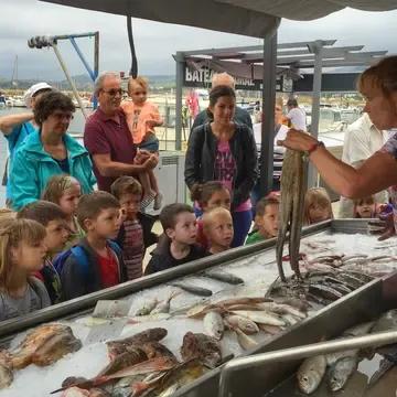 image of Vente directe de poisson Argeles sur Mer - Olivier Durietz