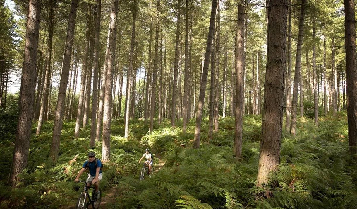 image of Sherwood Pines