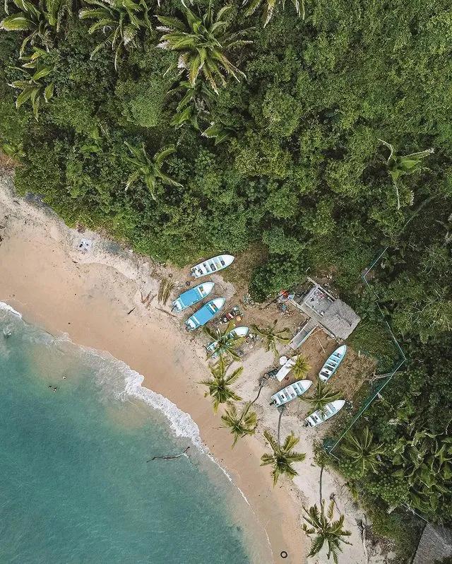 image of La Manzanilla
