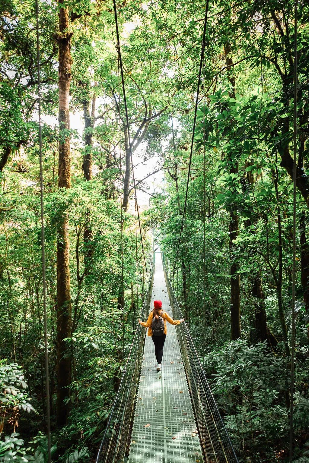 image of 100% Aventura Puentes Colgantes Monteverde