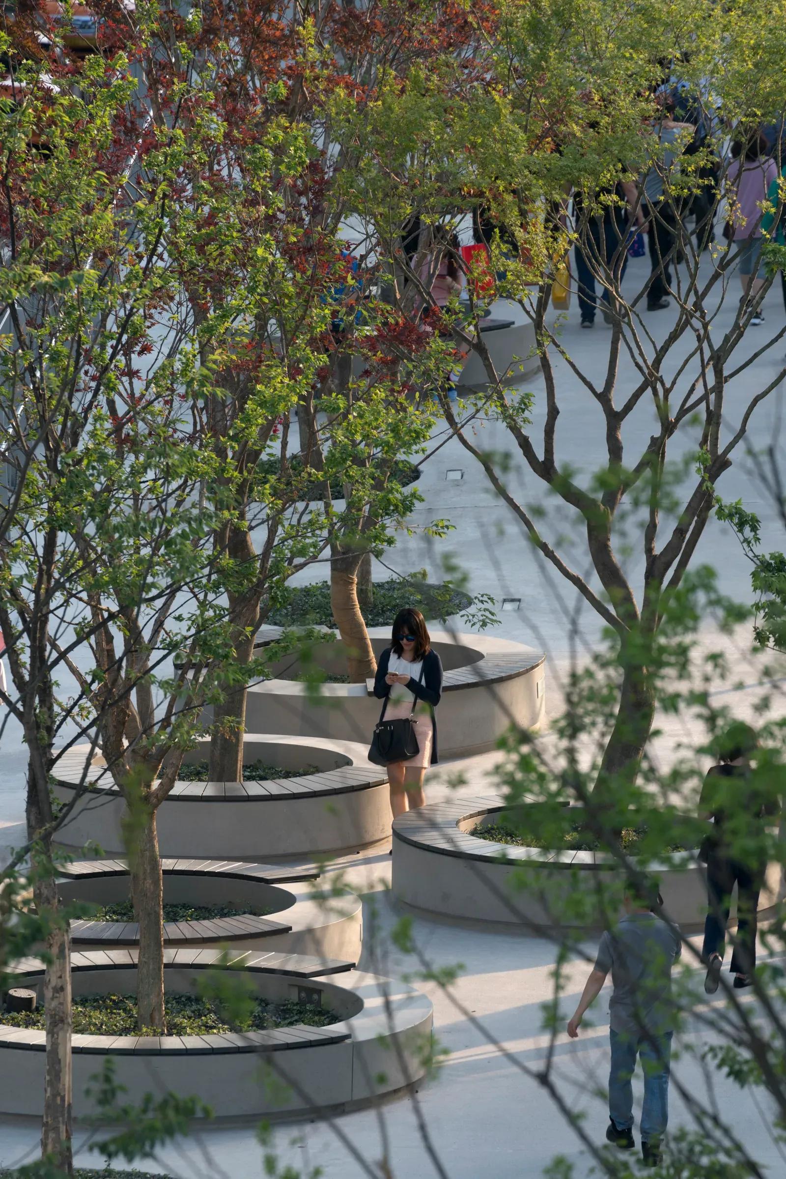 image of Urban Plant