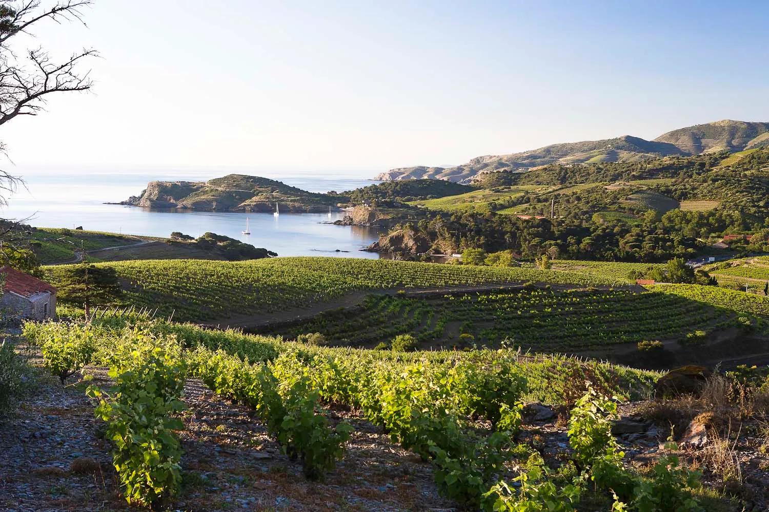 Recommendation for spot Les Clos de Paulilles