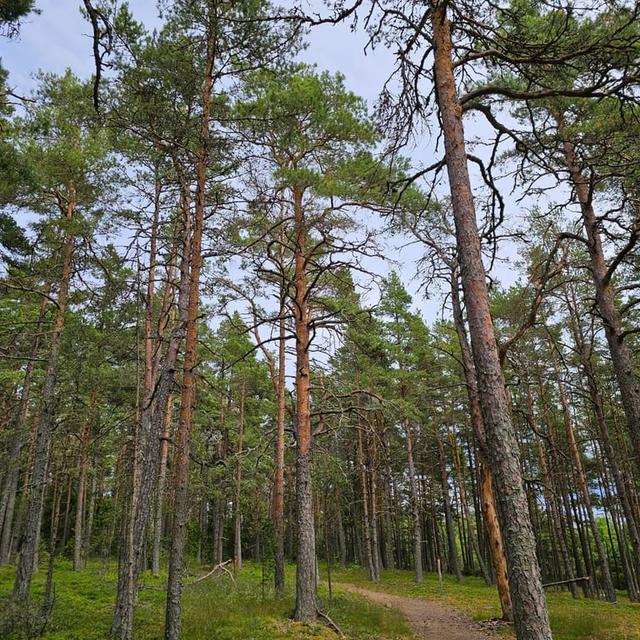 image of the list Värmland