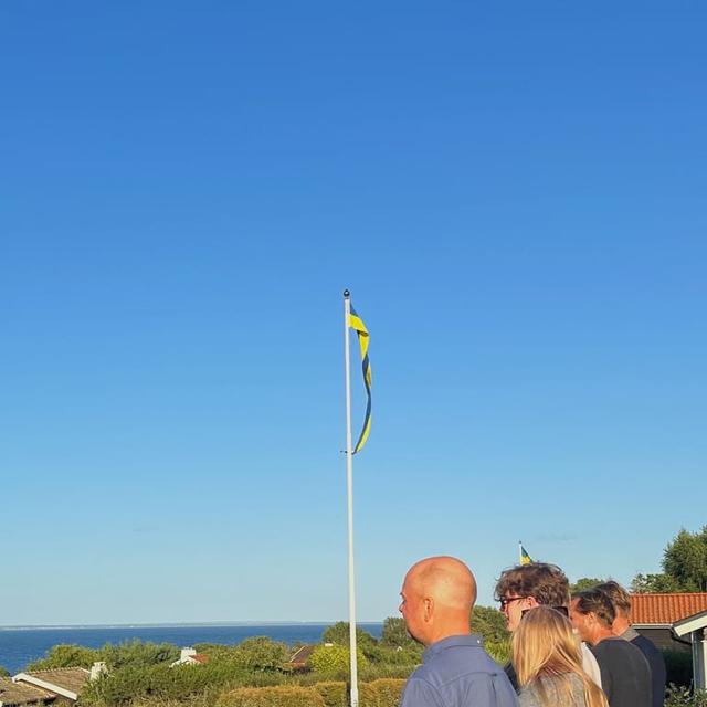 image of the list Sverige 