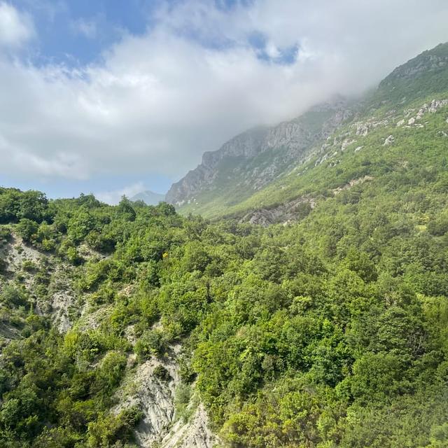 image of the list Albania by Delicia