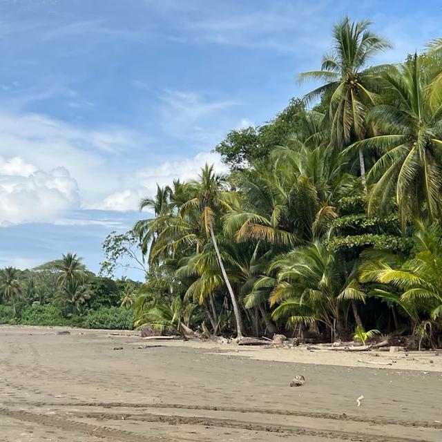 image of the list Costa Rica by Delicia