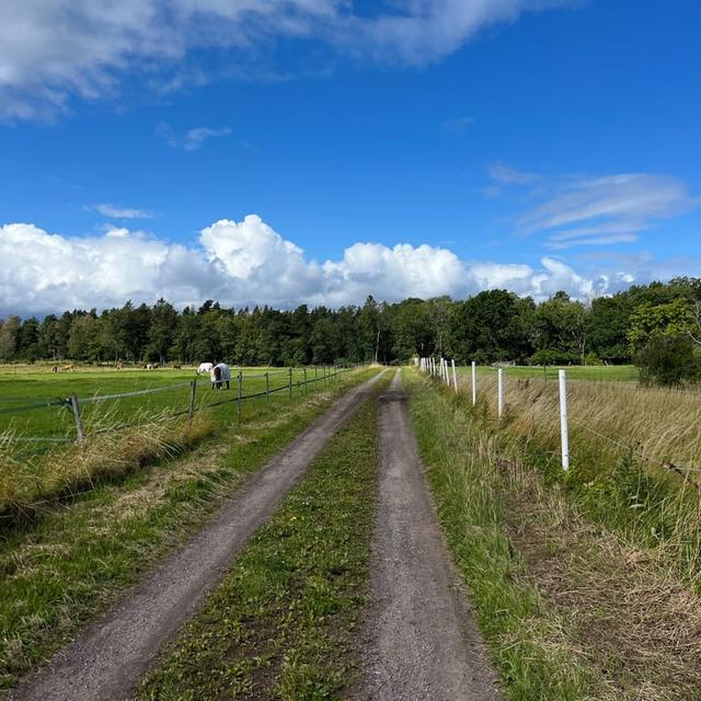 image of the list Kinnekulle