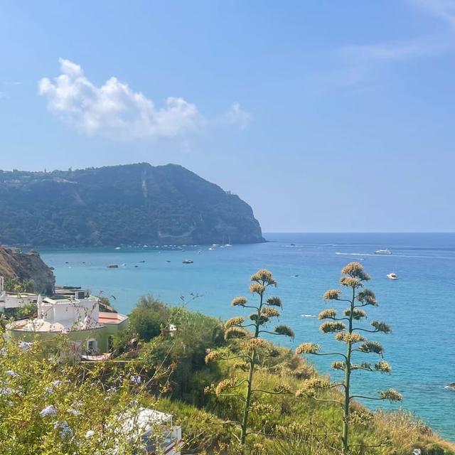 image of the list Ischia🍝🌊