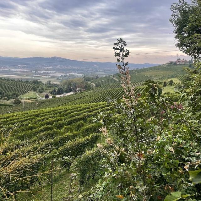image of the list Piemonte 