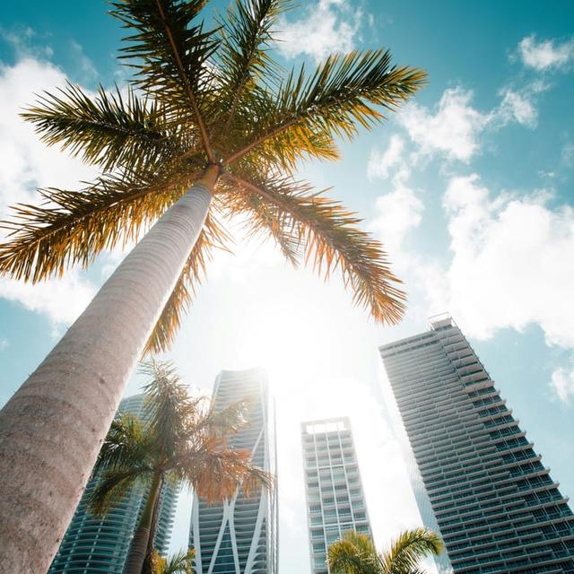 image of the list Miami Guide