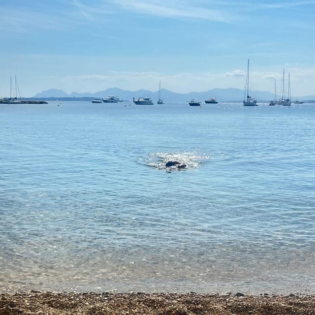 image of the list Cote d’Azur