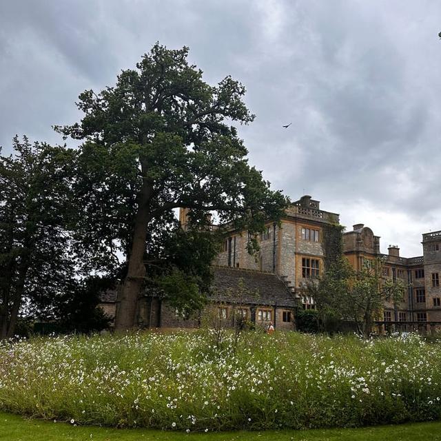 image of the list Oxford guide by Phoenicia! 