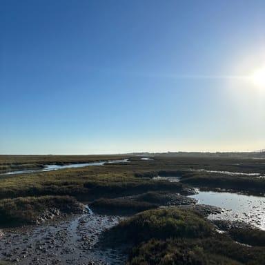 image of the list Tavira guide by Phoenicia!