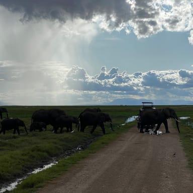 image of the list Kenya