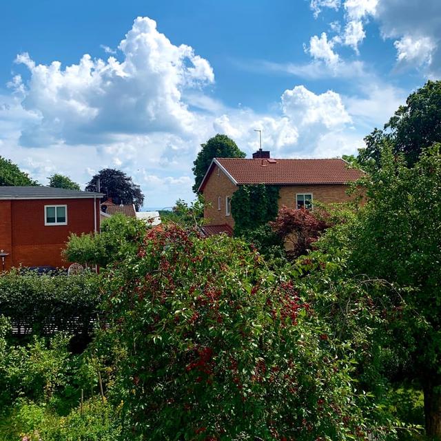 image of the list Halmstad 
