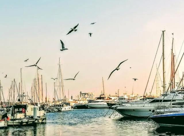 image of the list Cannes