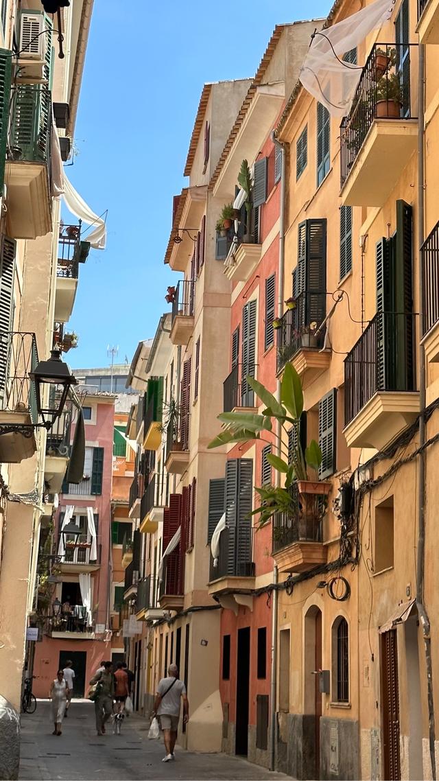 image of the list PALMA