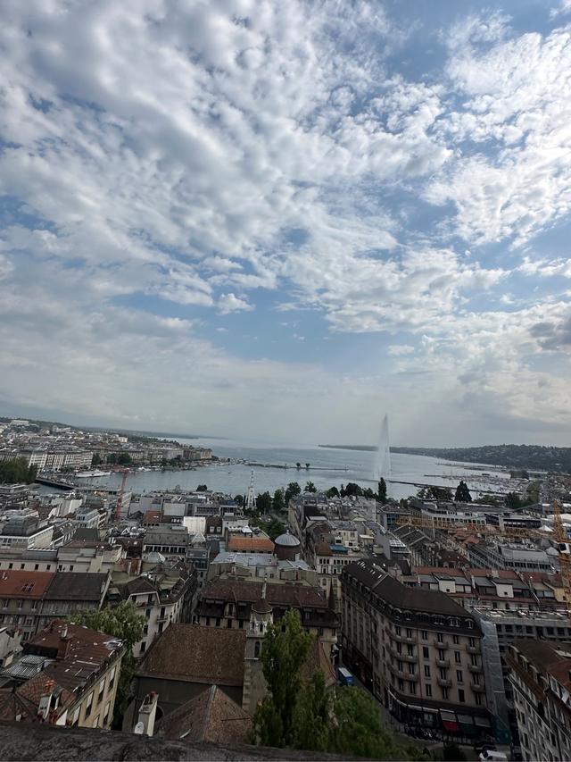 image of the list Geneva guide by Phoenicia!