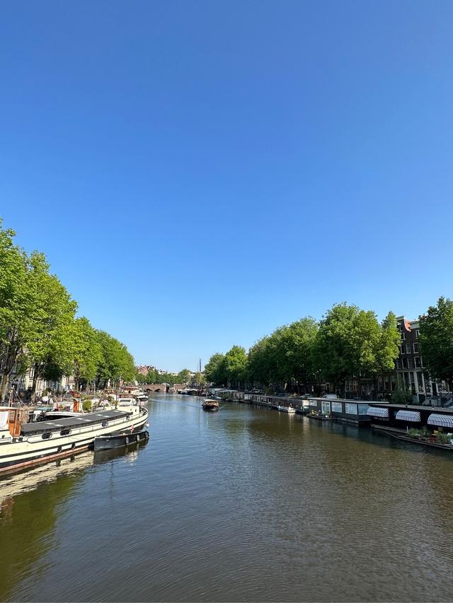 image of the list Amsterdam guide by Phoenicia!