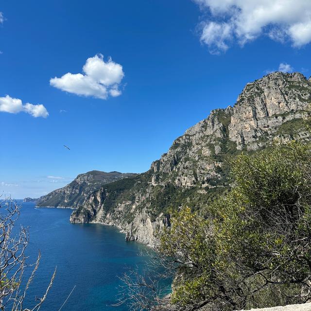 image of the list Positano guide by Phoenicia!