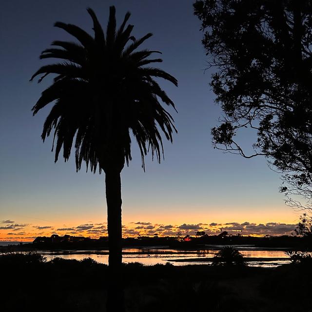 image of the list Los Angeles guide by Phoenicia!