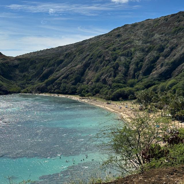 image of the list Honolulu guide by Phoenicia!