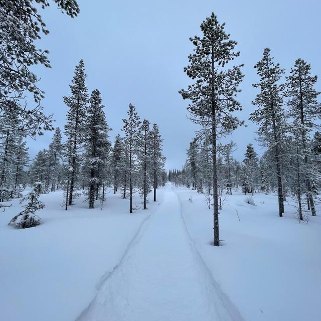 image of the list Kittilä guide by Phoenicia!