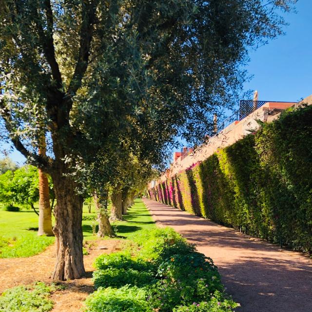 image of the list Marrakech guide by Phoenicia!