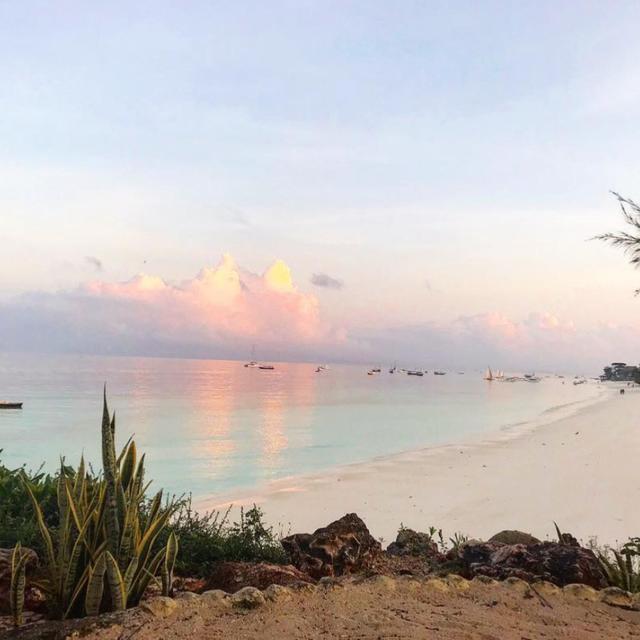 image of the list Zanzibar guide by Phoenicia!