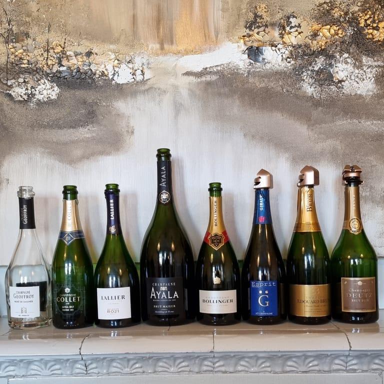 Background image of Freddie 