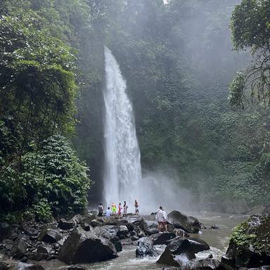 Profile image of Go bali
