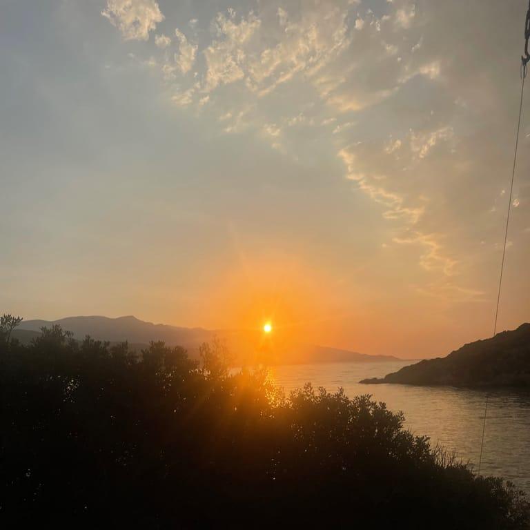 Background image of Selma Lanzén Wahlbom