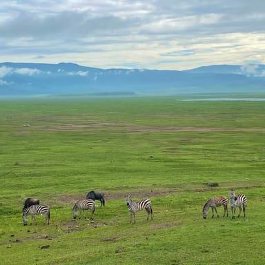 Background image of Camilla Looke